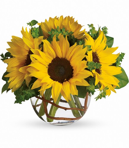 Sunny Sunflowers from Scott's House of Flowers in Lawton, OK